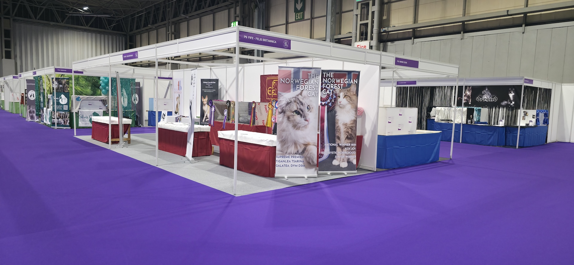 Cat Show Live 2025 - final build
